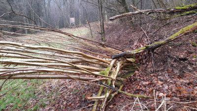 IMG-20250226-WA0010.jpeg