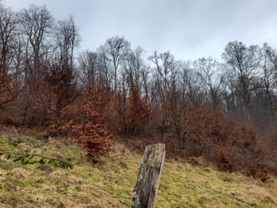 20250226_105754.jpg