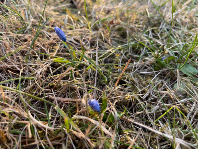 IMG_7880.jpeg