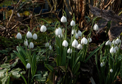 DSC02114_DxO.jpg
