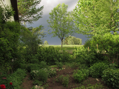 gemuesegewitter.img.JPG