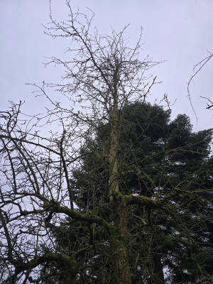 20250301_090849.jpg