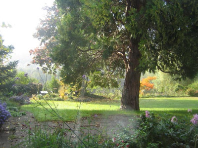 schreibtischblick1032.jpg