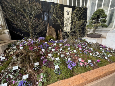 IMG_3576.jpeg