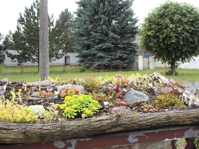 DSCI0834.JPG