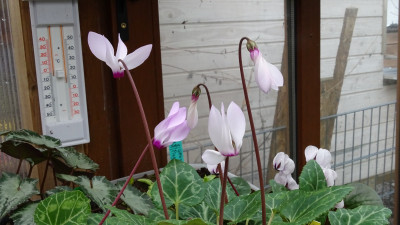 DSC07378.JPG