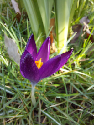 20250302_132056.jpg
