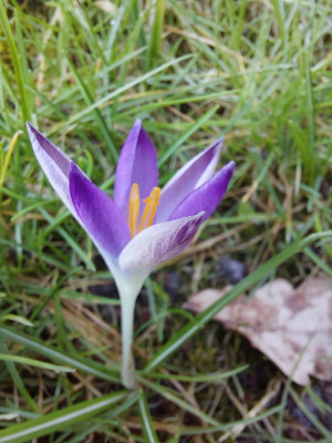 20250302_131903.jpg