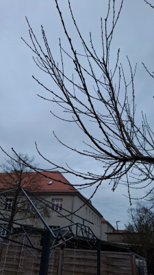 20250224_172405.jpg
