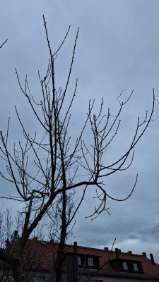 20250224_172418.jpg