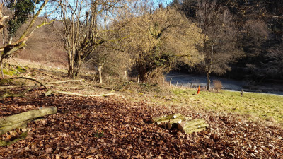 IMG-20250303-WA0004.jpeg