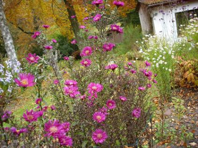 27.10.07_001a_4.jpg