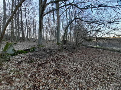 20250304_170157.jpg