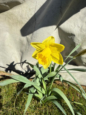 IMG_7491.jpeg