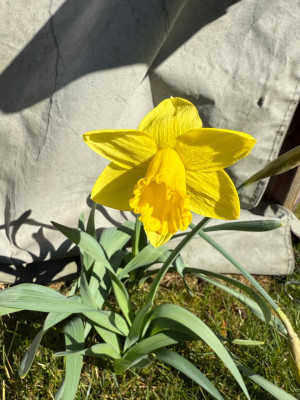 IMG_7490.jpeg