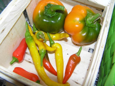 chili1210.jpg