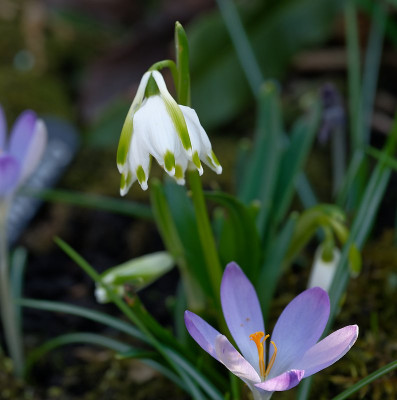 DSC_9516_DxO.jpg