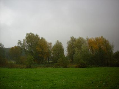 12.Oktober_2008_008kl._Baumgr._diesig_dunkle_Wolken.JPG
