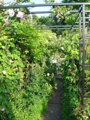 Rosen_Ranken_2004_3.jpg