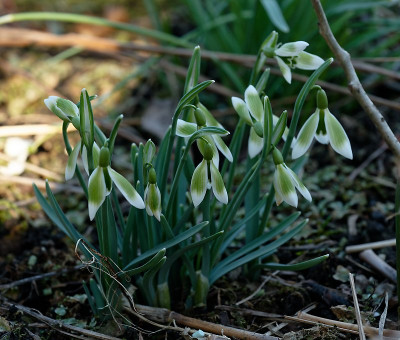 DSC_9523_DxO.jpg