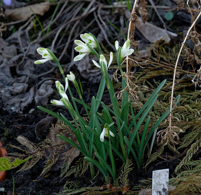 DSC_9528_DxO.jpg