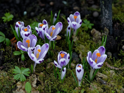 DSC_9529_DxO.jpg