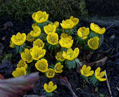 DSC_9533_DxO.jpg