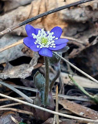 20250306_144752.jpg