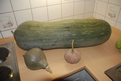 lunga_futsu_ballet.JPG