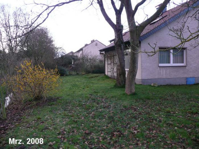garten.2westen.03.08.jpg