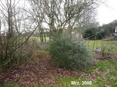 garten.westen.103.08.jpg