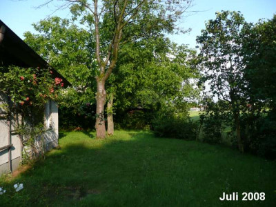 garten.osten.07.08.jpg