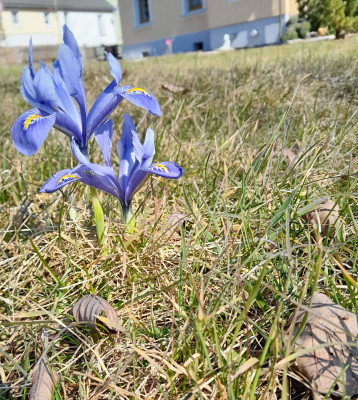 20250306_125121.jpg