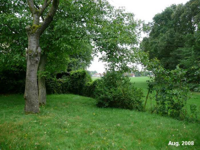 garten.suedwesten.08.08.jpg