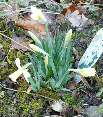 20250308_083622.jpg