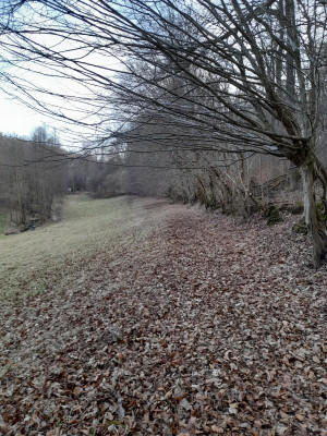 20250308_162800.jpg