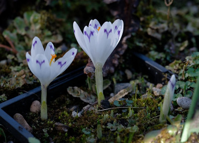 DSC_9537_DxO.jpg