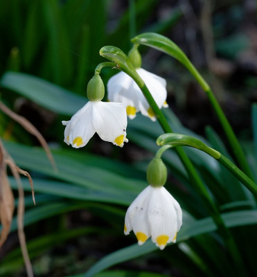 DSC_9545_DxO.jpg