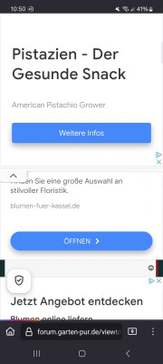 Screenshot_20250309_105001_Firefox.jpg