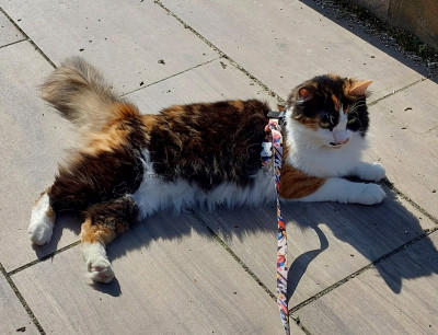 Dannnlieber nur sonnenbaden auf der Terrasse.