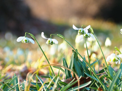 UE_25_1_08.JPG