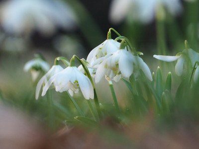 UE_25_2_01.JPG