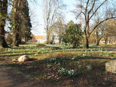 UE_25_2_02.JPG