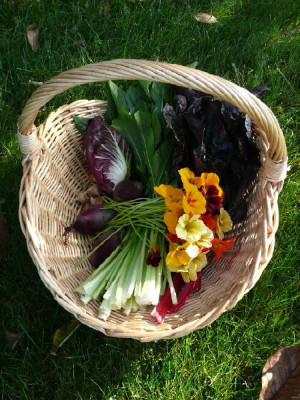 ernte_081013.jpg