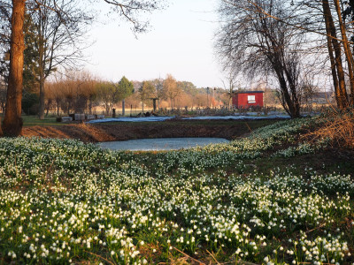 UE_25_2_13.JPG