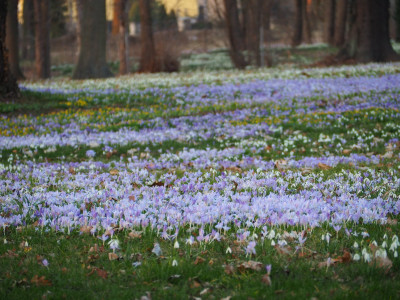 UE_25_2_27.JPG