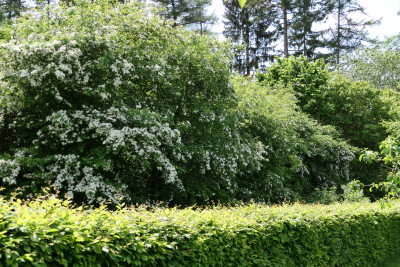 P1000297.JPG