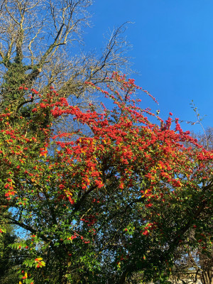 IMG_1084.jpeg