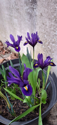 20250311_180051.jpg