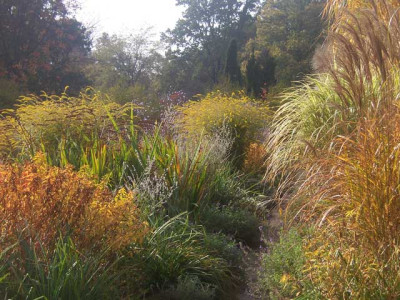Herbst08_01_web.jpg